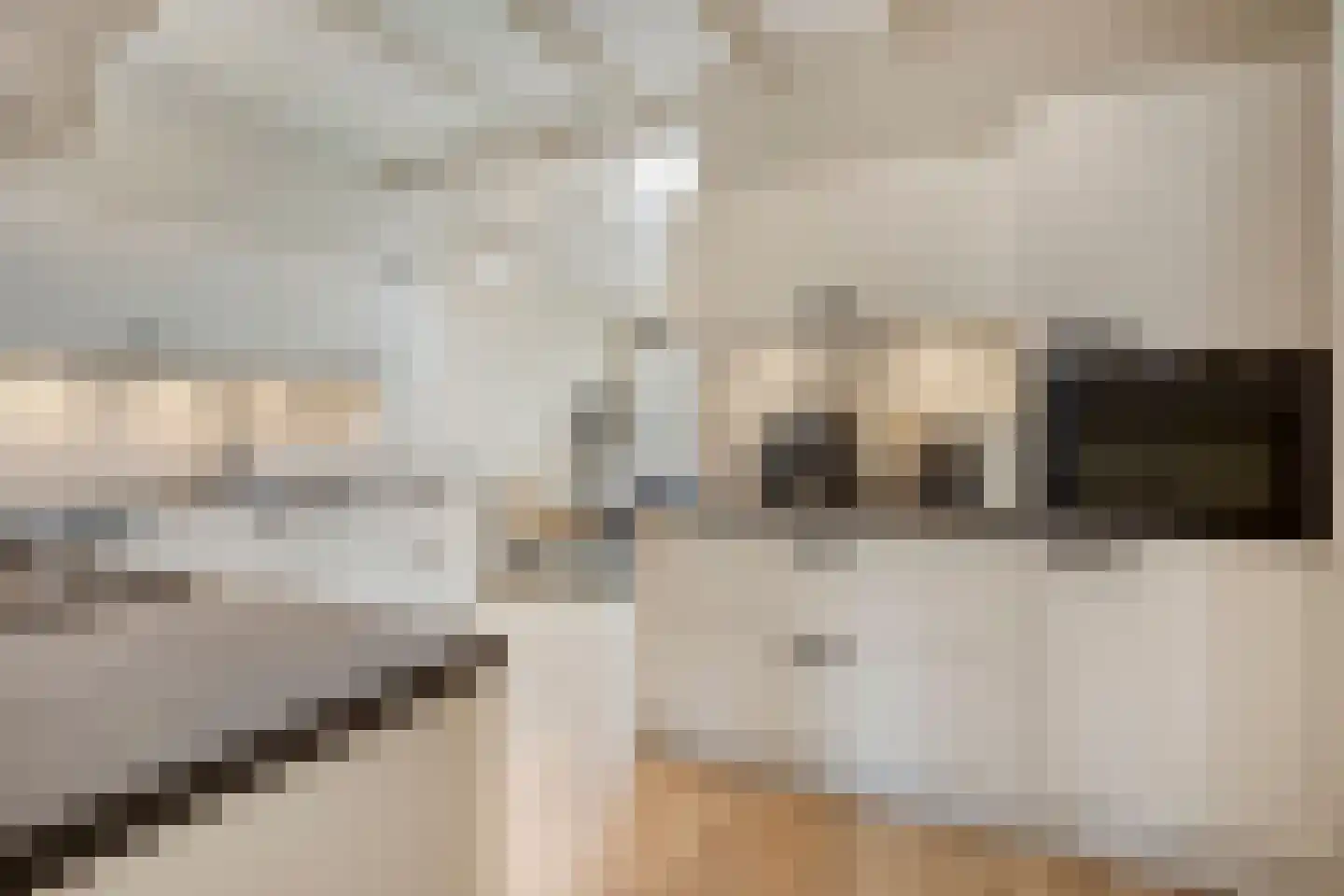 Binnenweg 22 Tiel thumbnail 10