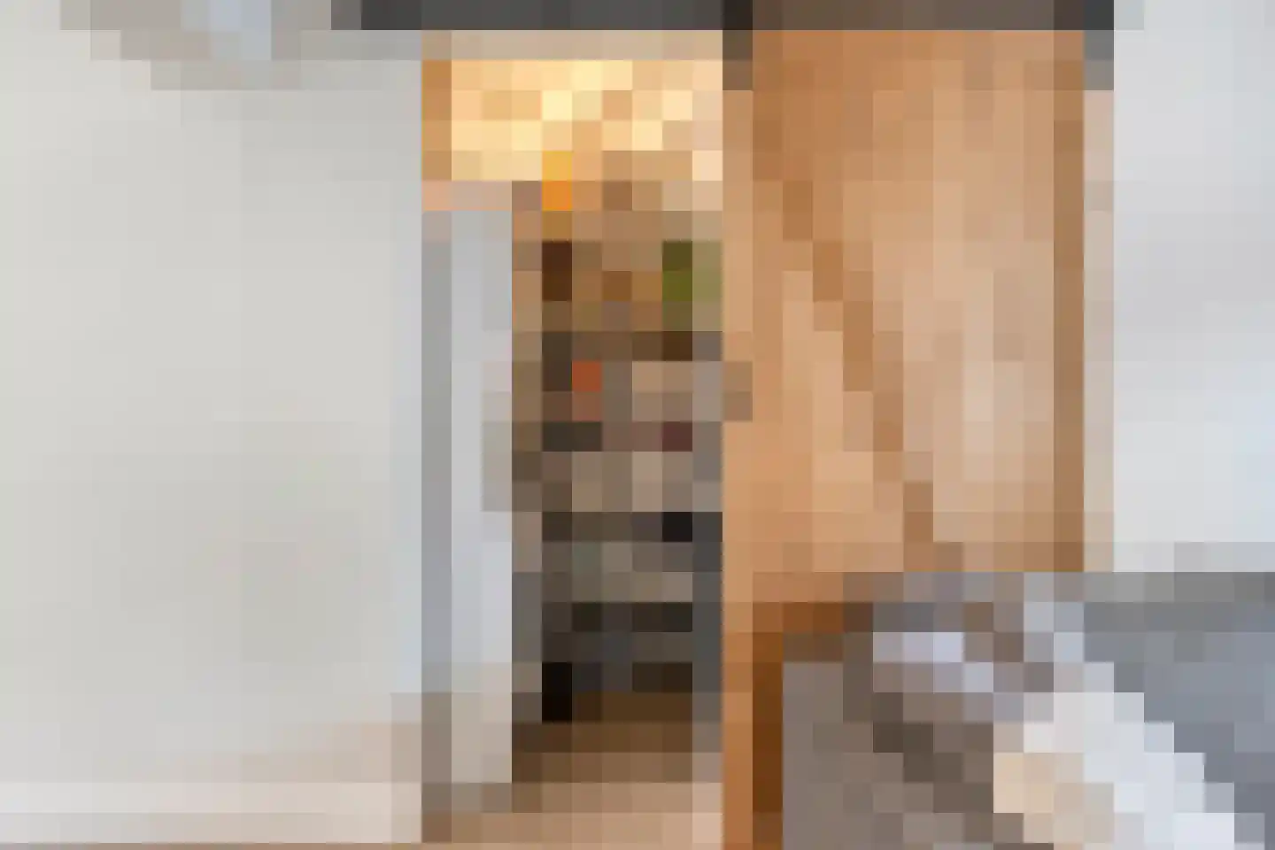 Binnenweg 22 Tiel thumbnail 13