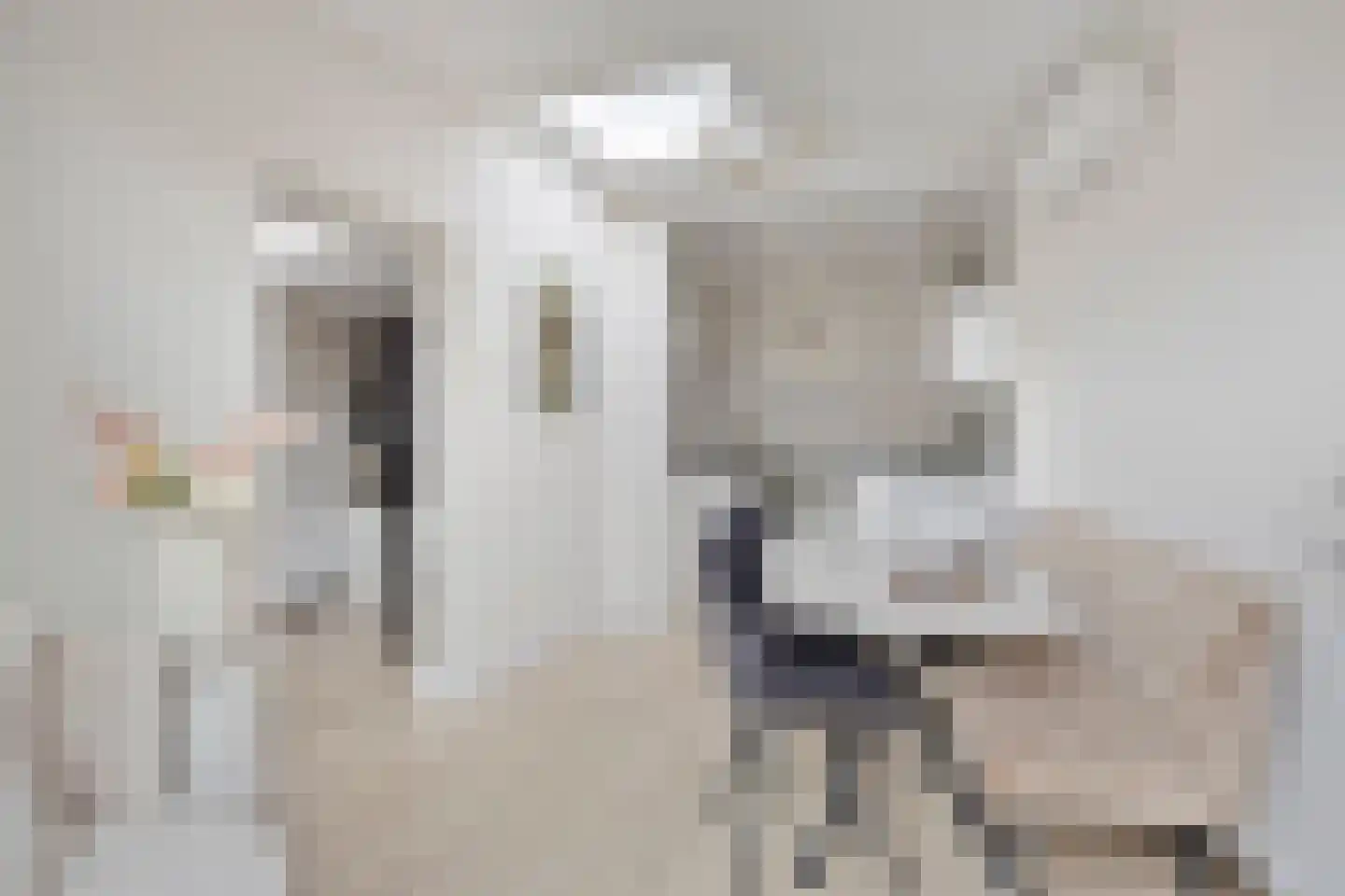 Binnenweg 22 Tiel thumbnail 17
