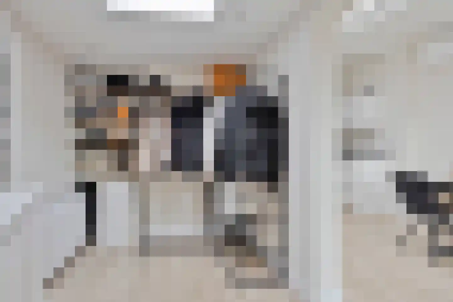 Binnenweg 22 Tiel thumbnail 18