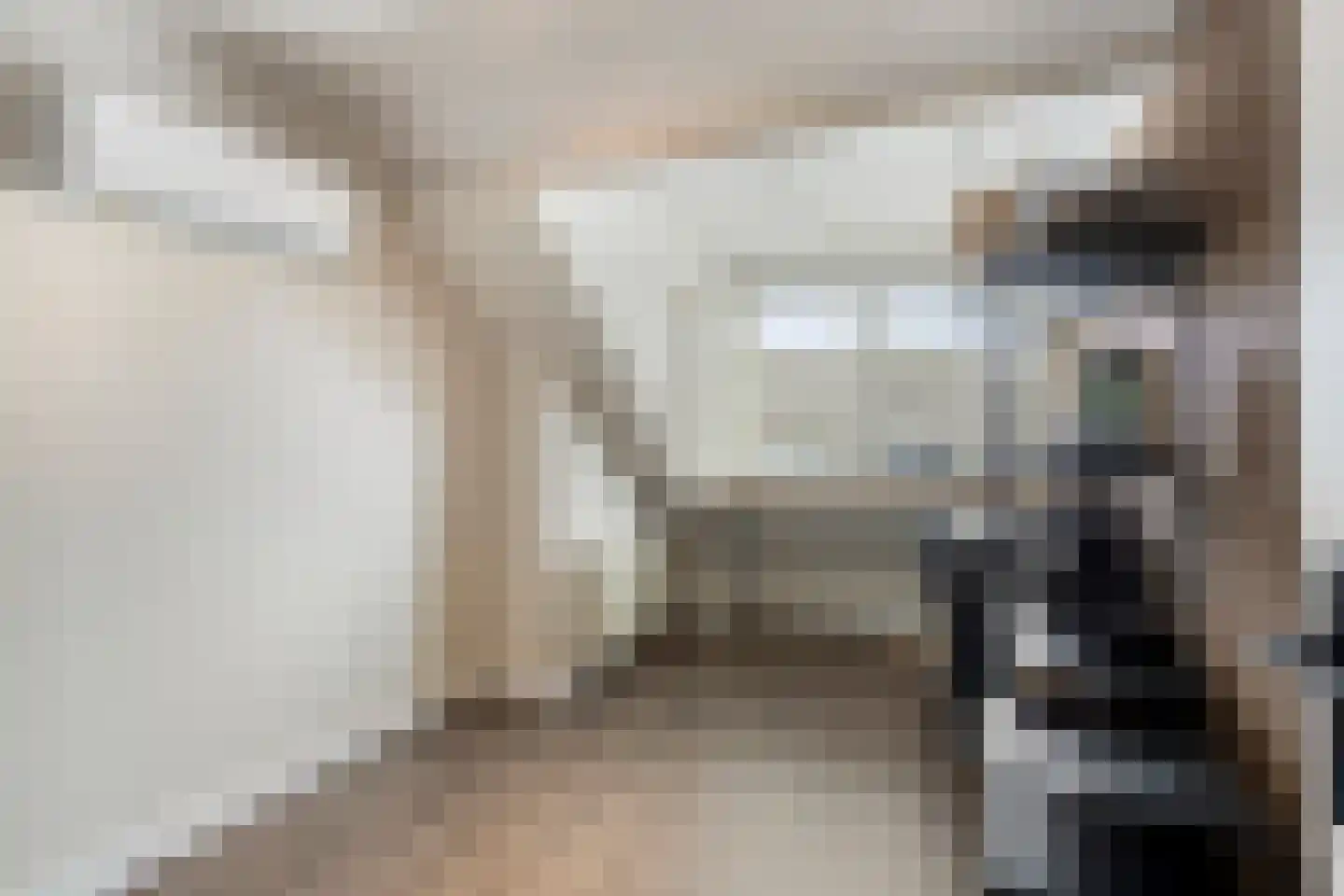 Binnenweg 22 Tiel thumbnail 25