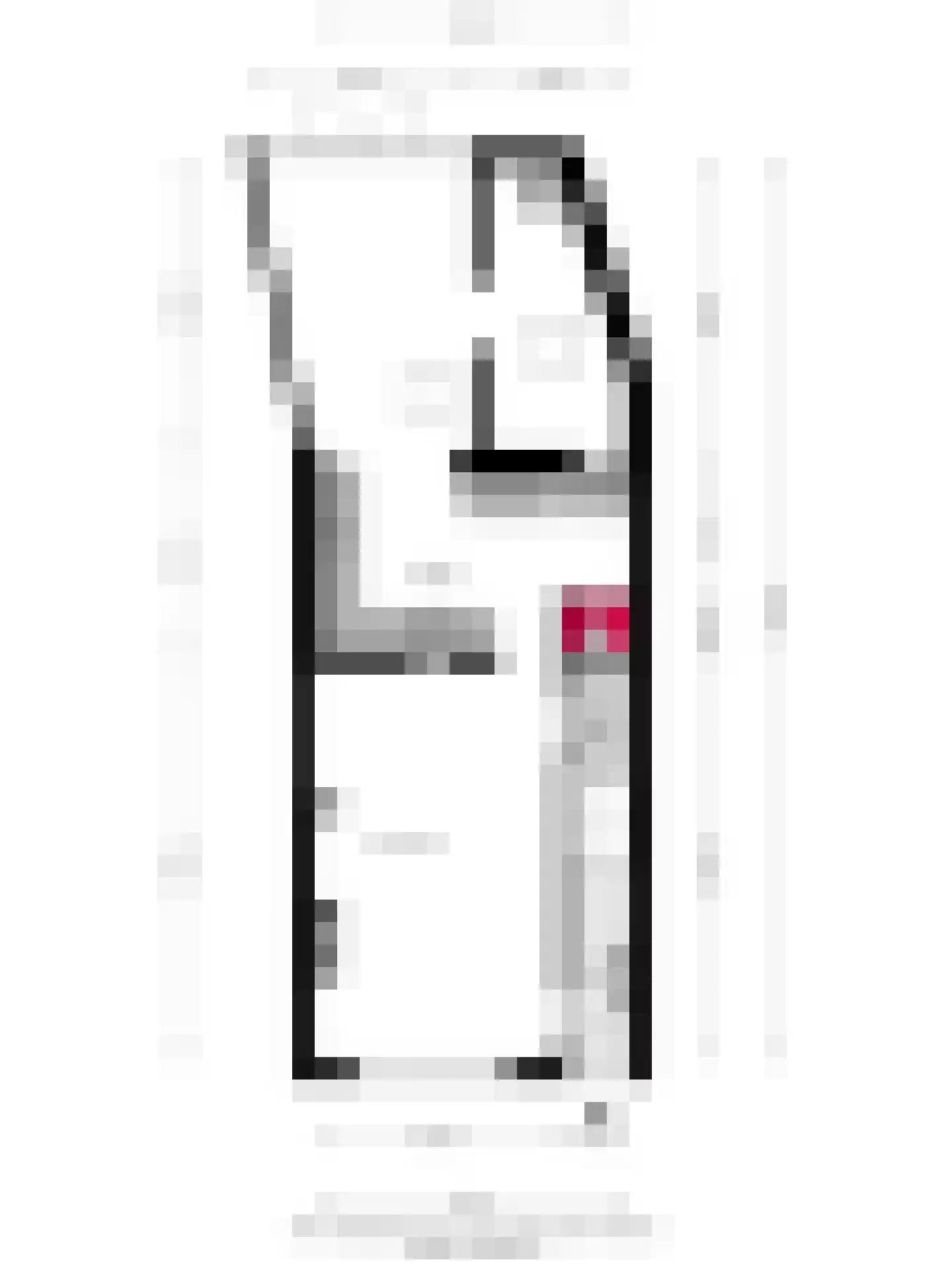 Binnenweg 22 Tiel thumbnail 34