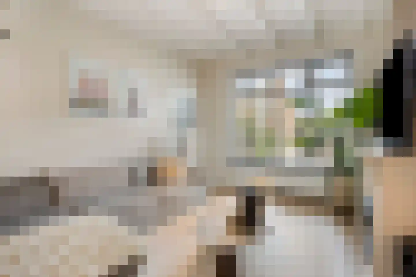 Binnenweg 22 Tiel thumbnail 7