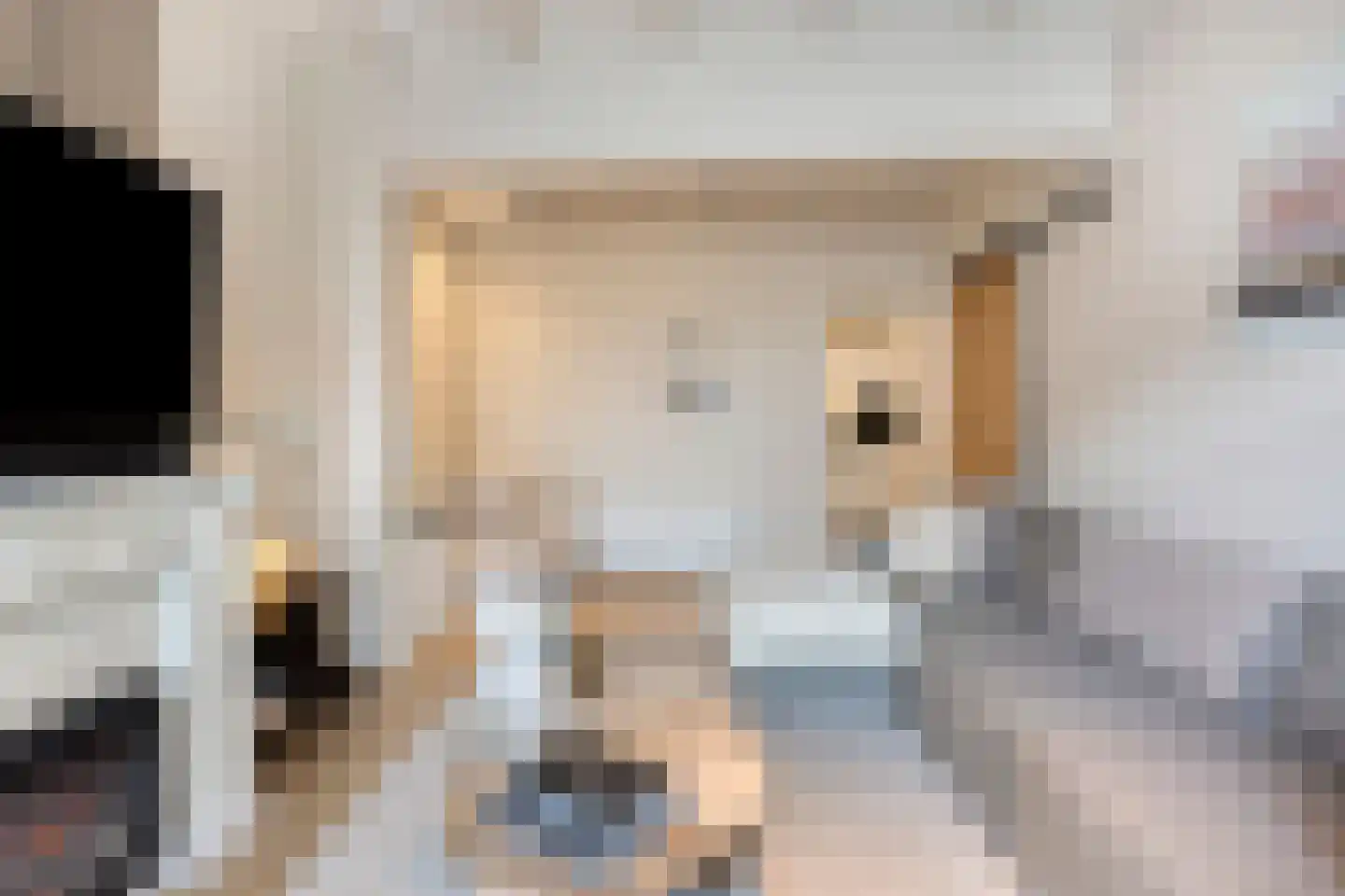Binnenweg 22 Tiel thumbnail 8
