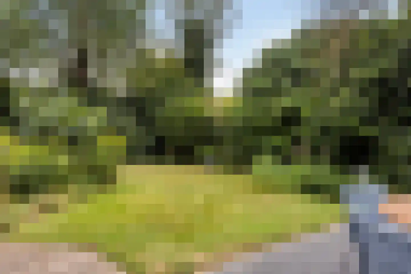 Binnenweg 22 Twello thumbnail 12