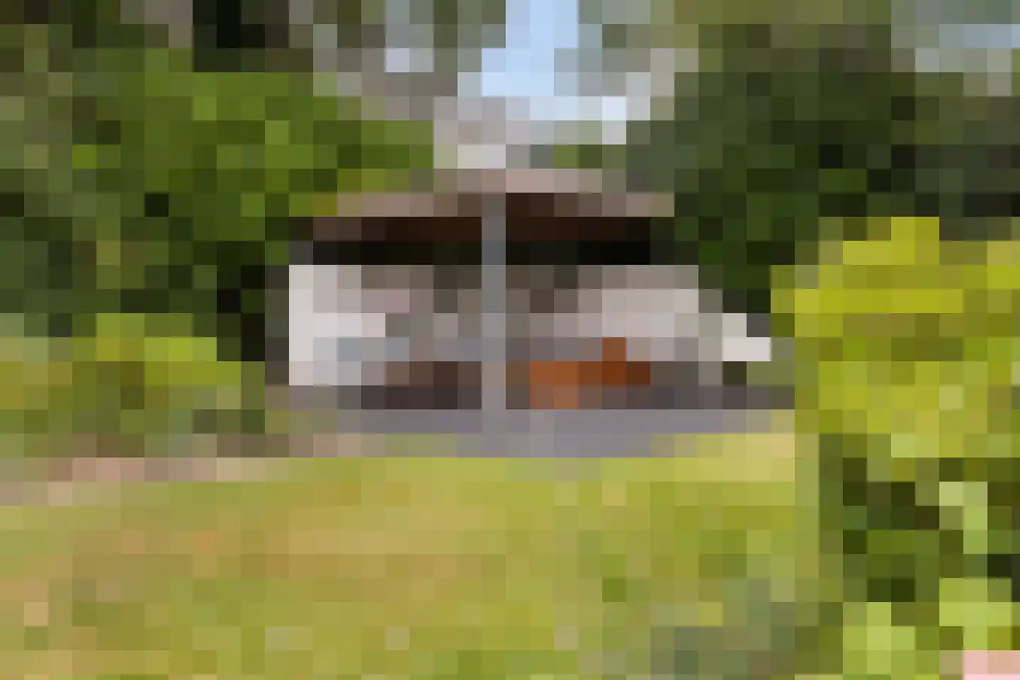 Binnenweg 22 Twello thumbnail 13