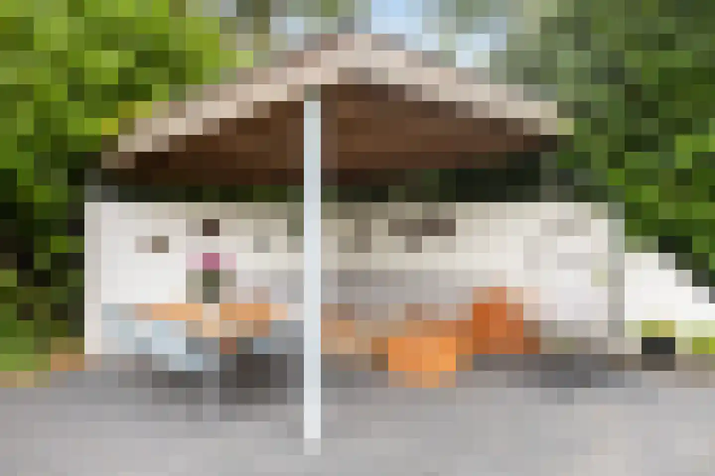 Binnenweg 22 Twello thumbnail 14