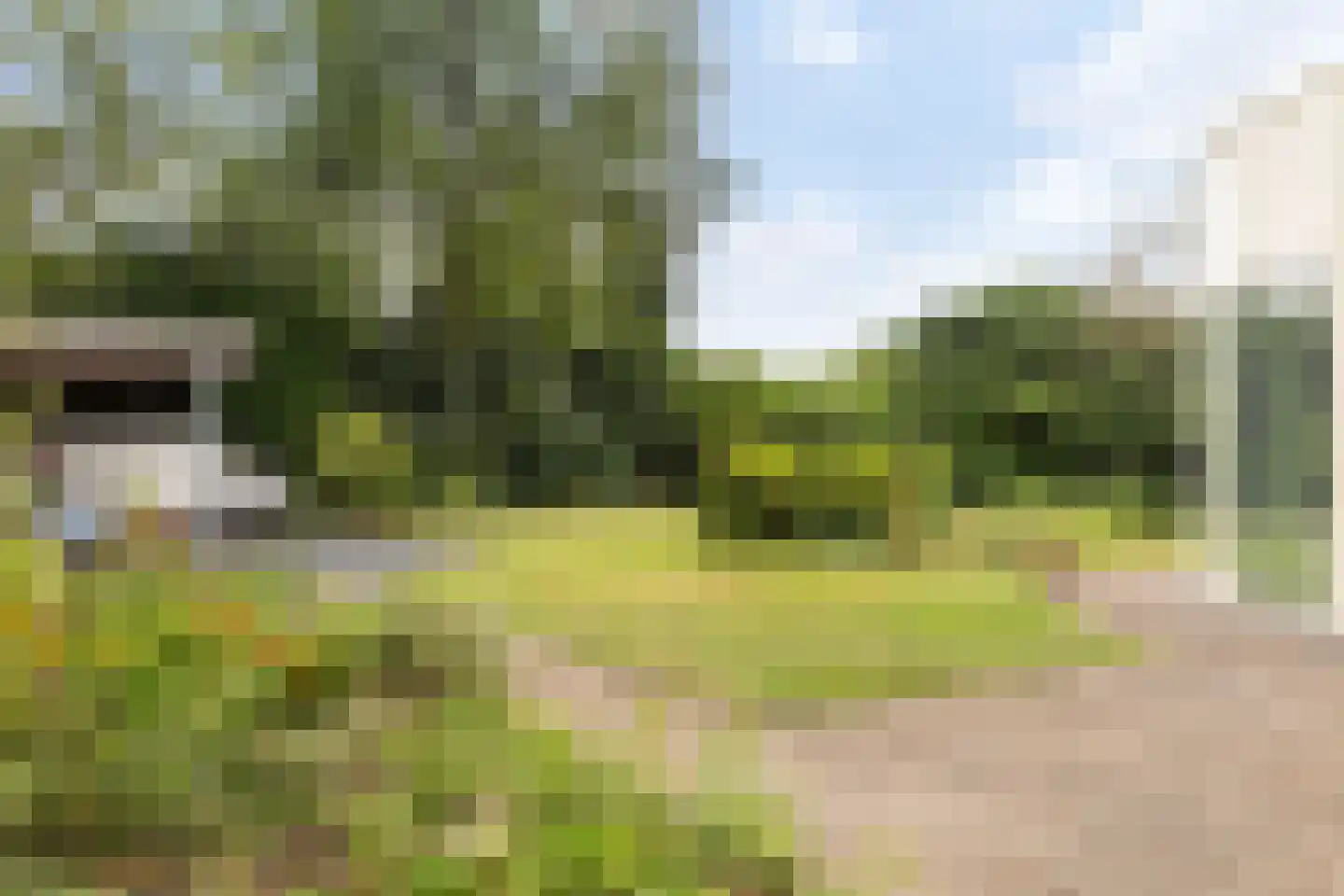 Binnenweg 22 Twello thumbnail 17