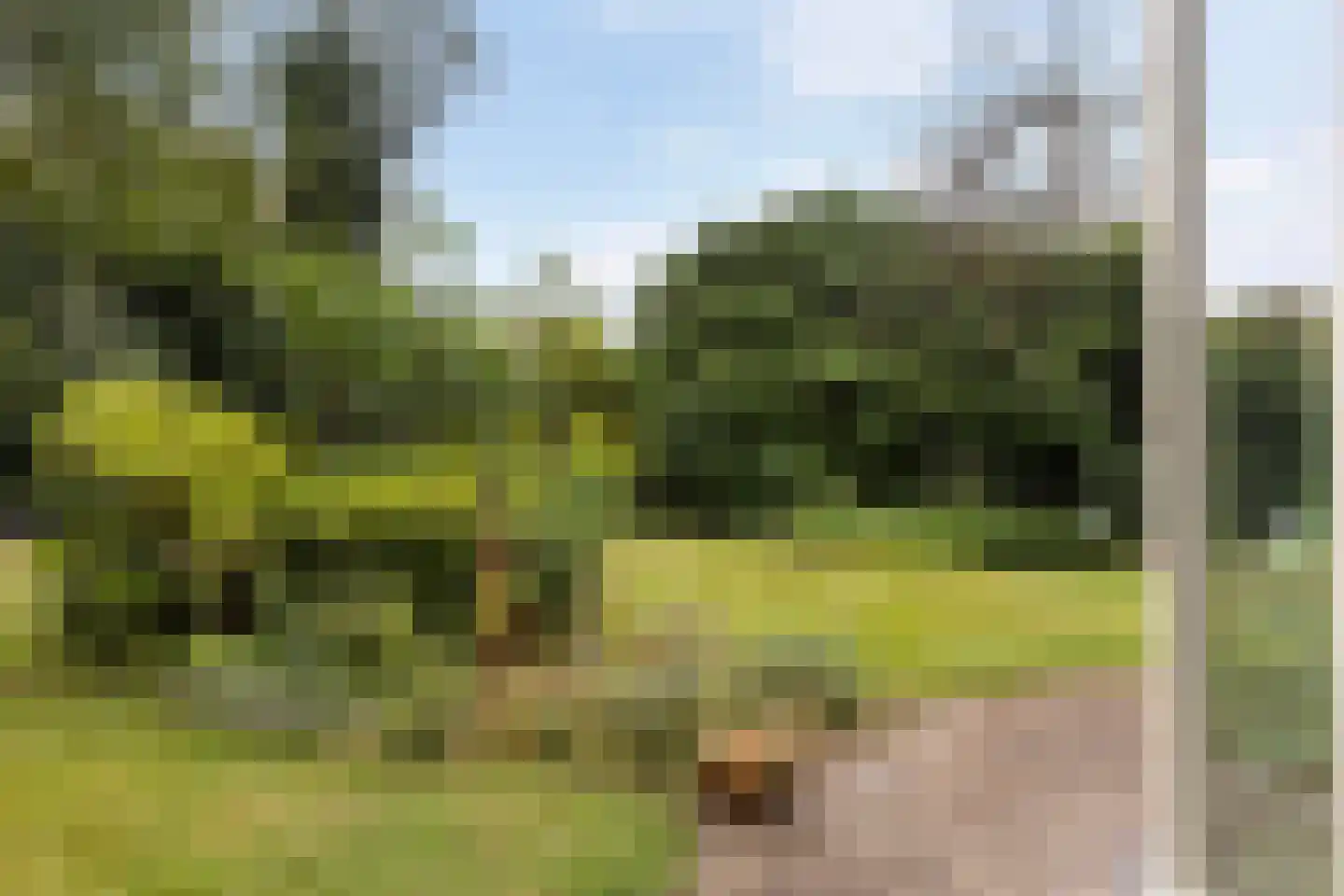 Binnenweg 22 Twello thumbnail 18