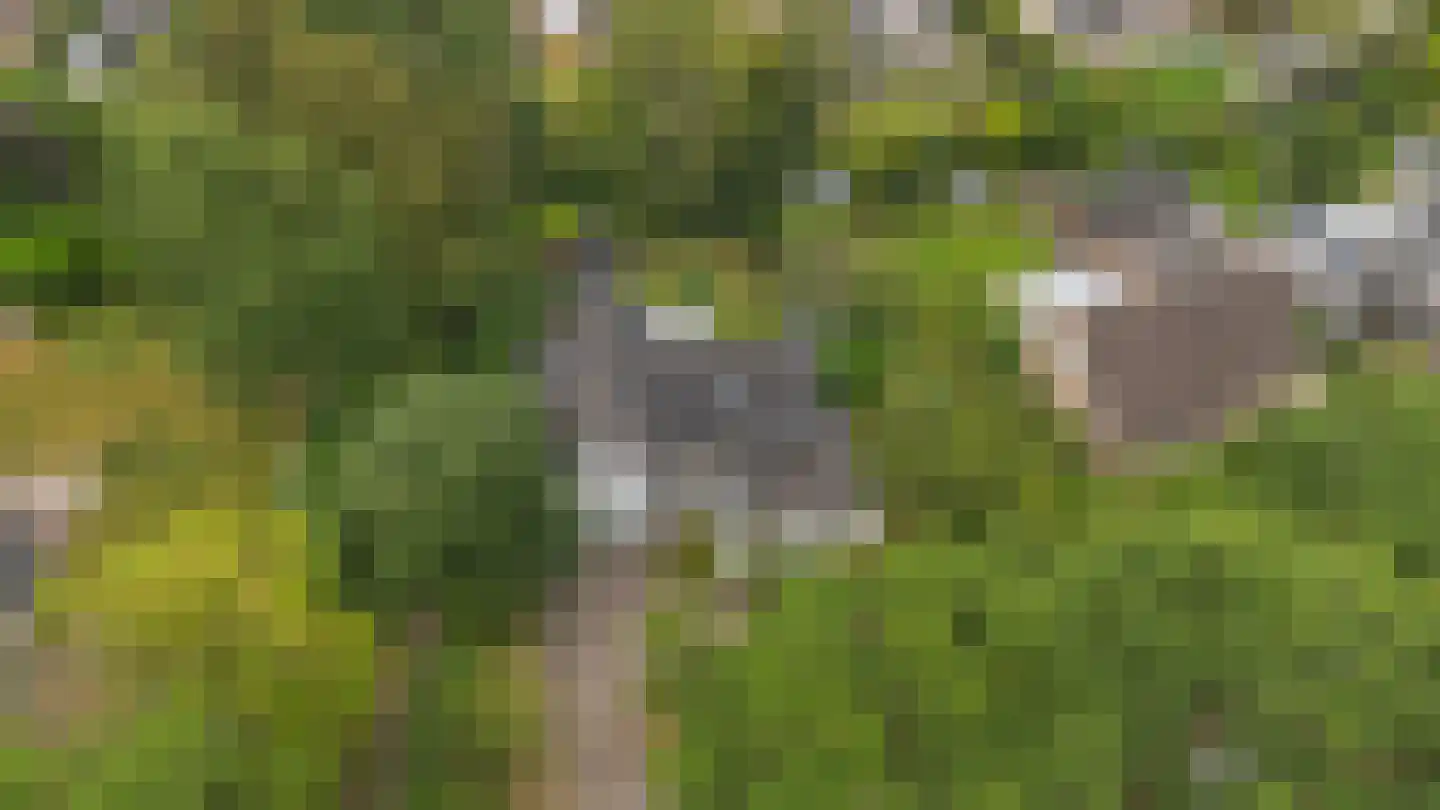 Binnenweg 22 Twello thumbnail 22