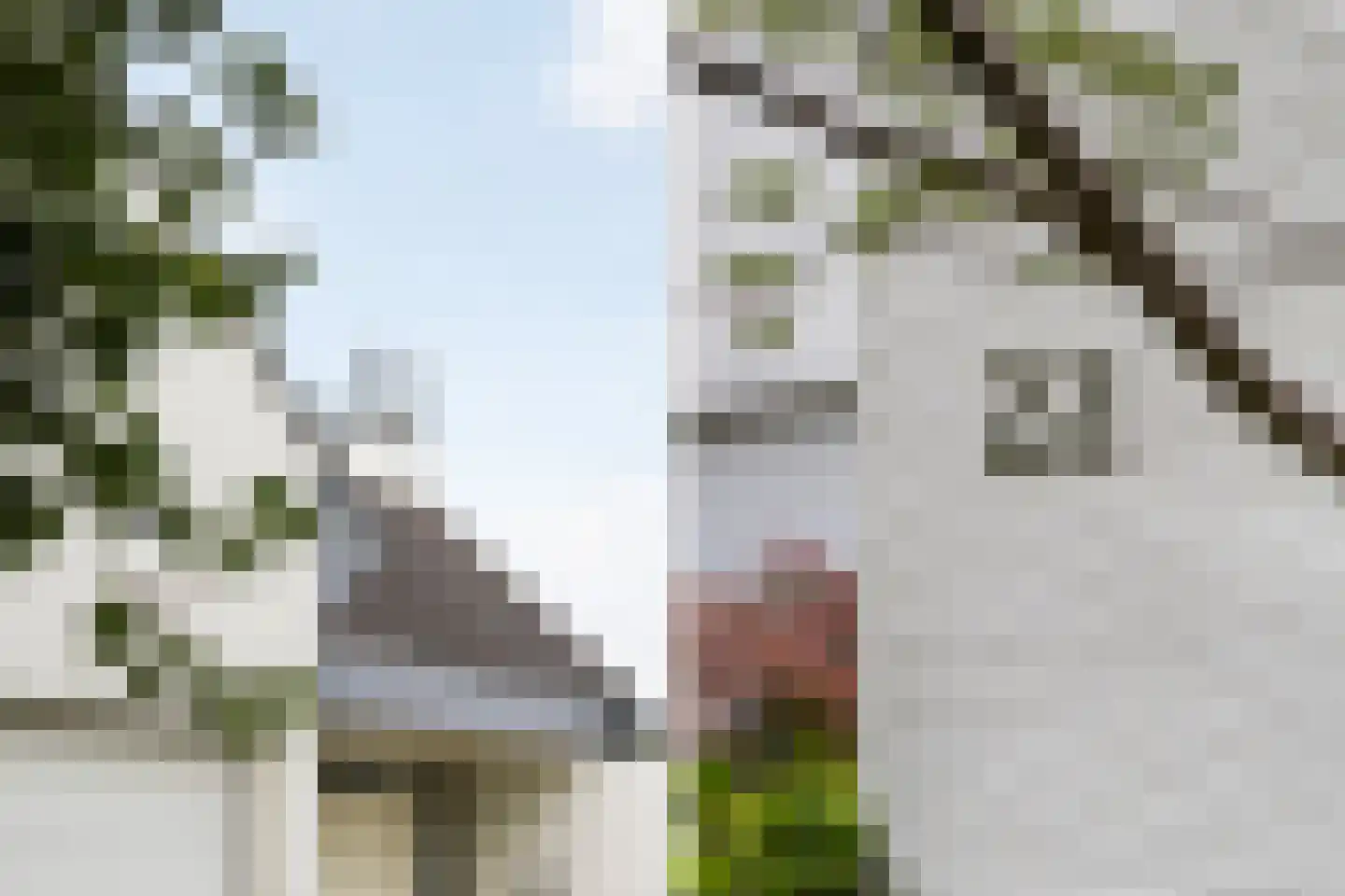 Binnenweg 22 Twello thumbnail 23