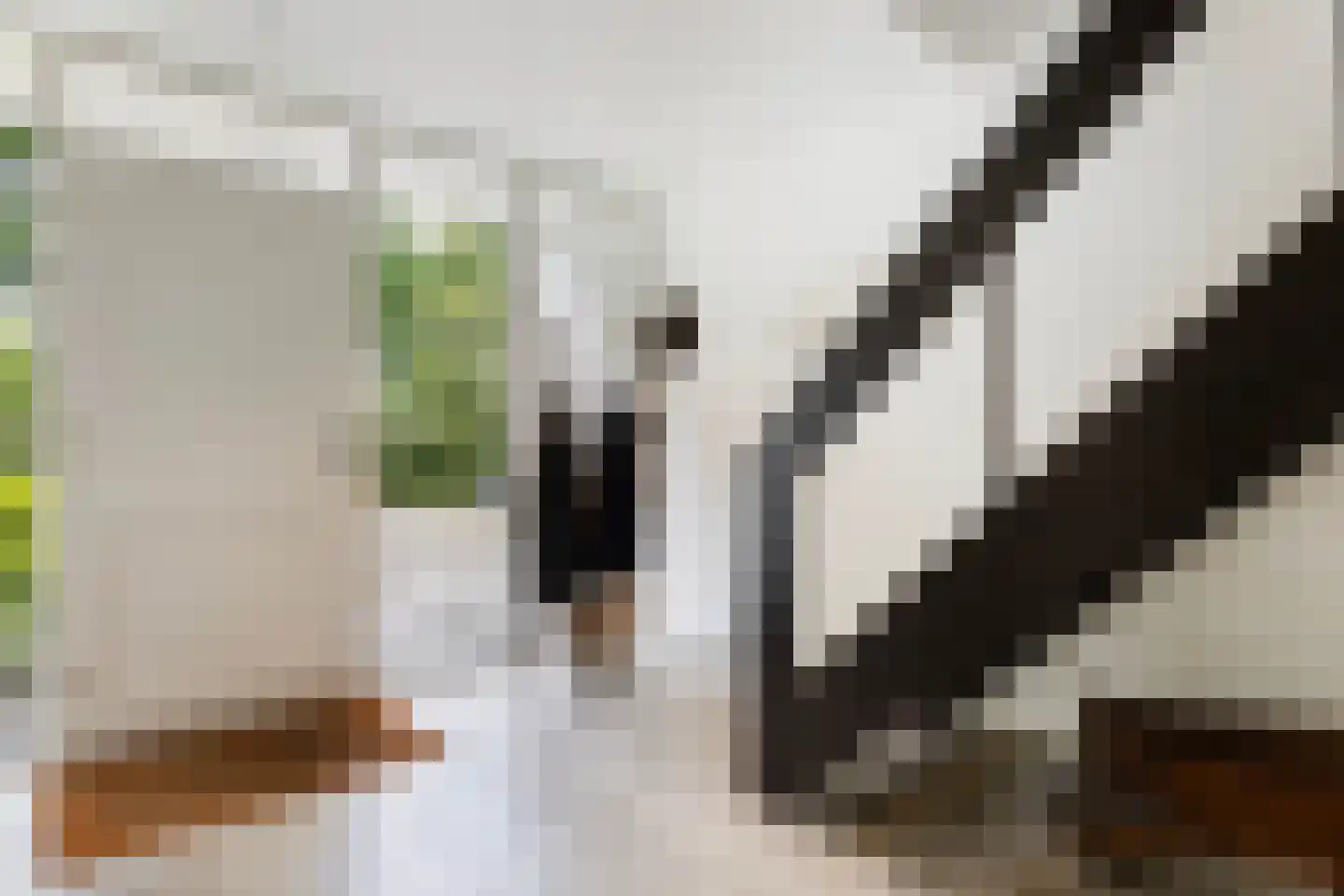 Binnenweg 22 Twello thumbnail 25