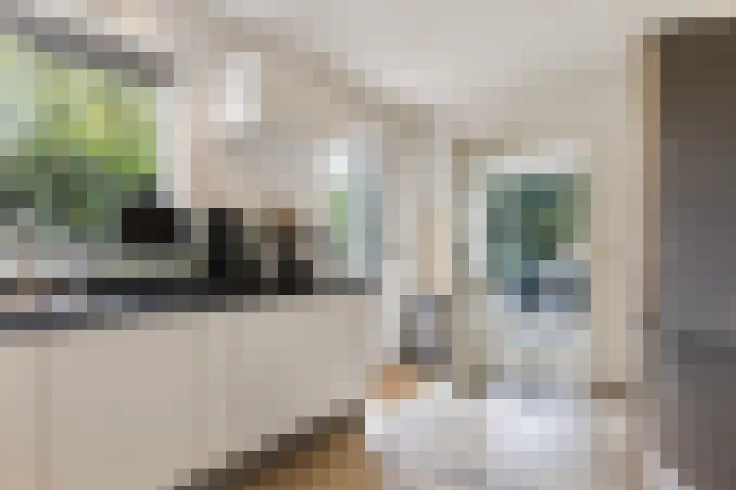 Binnenweg 22 Twello thumbnail 37
