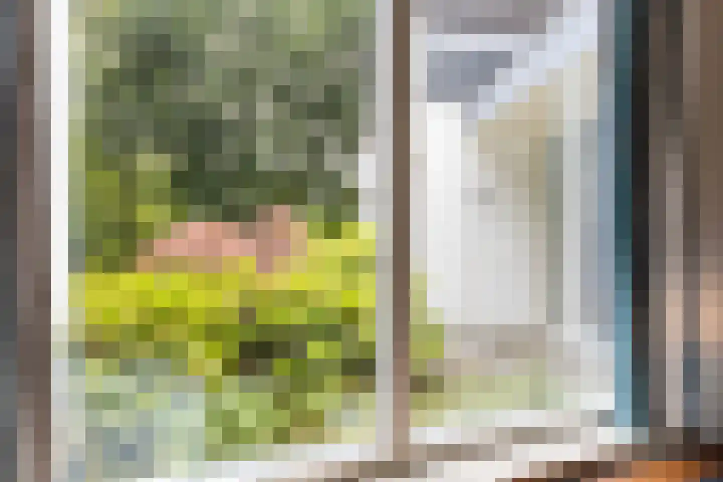 Binnenweg 22 Twello thumbnail 42