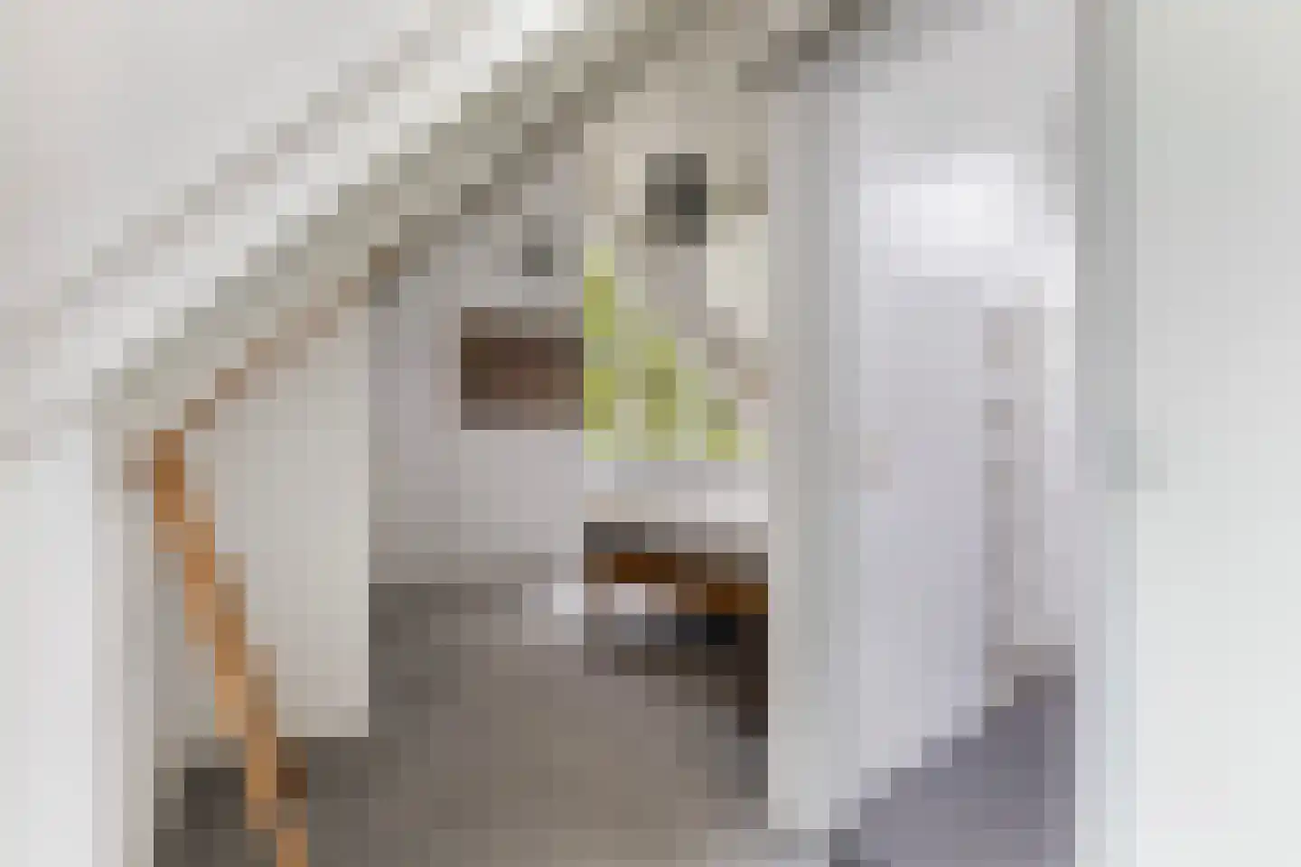 Binnenweg 22 Twello thumbnail 55