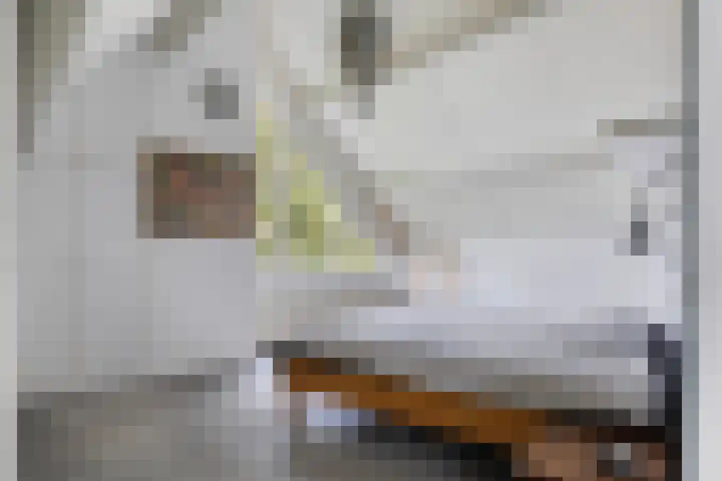 Binnenweg 22 Twello thumbnail 58