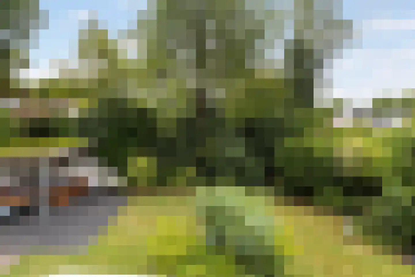 Binnenweg 22 Twello thumbnail 61
