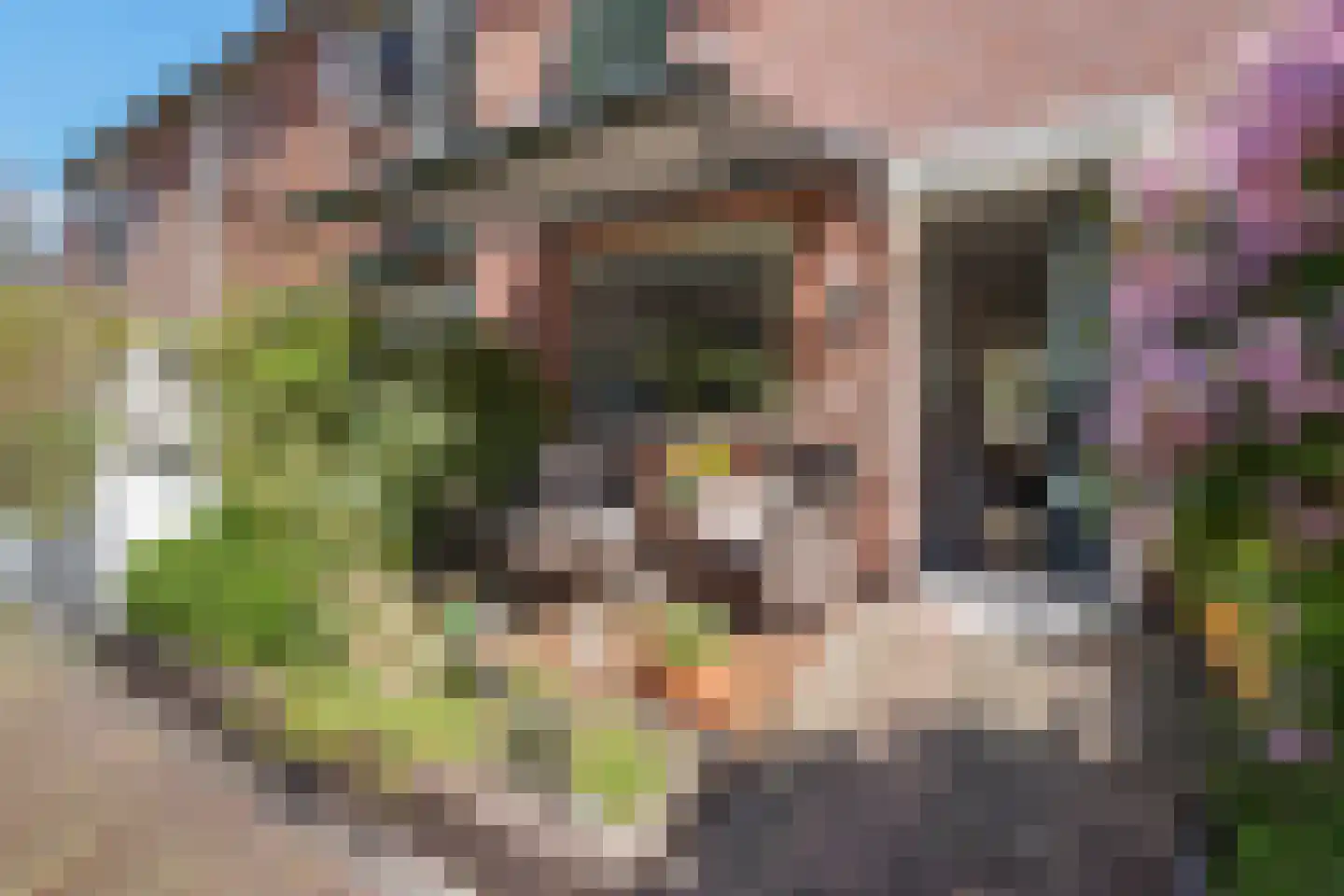 Binnenweg 23 Leidschendam thumbnail 7