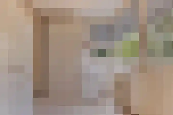 Binnenweg 25 Breda thumbnail 12