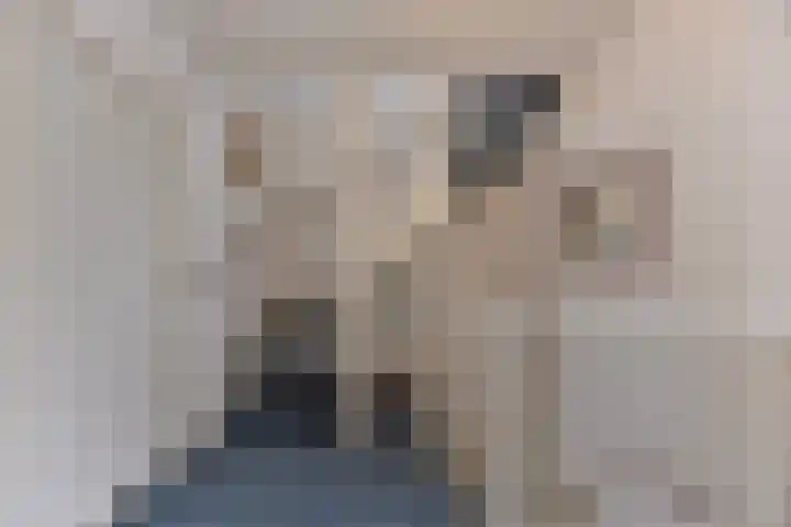 Binnenweg 25 Breda thumbnail 16