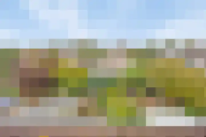 Binnenweg 25 Breda thumbnail 26