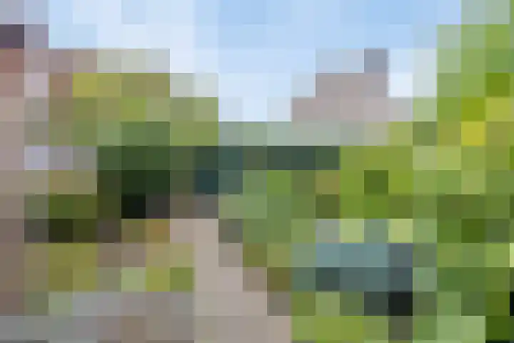 Binnenweg 25 Breda thumbnail 28