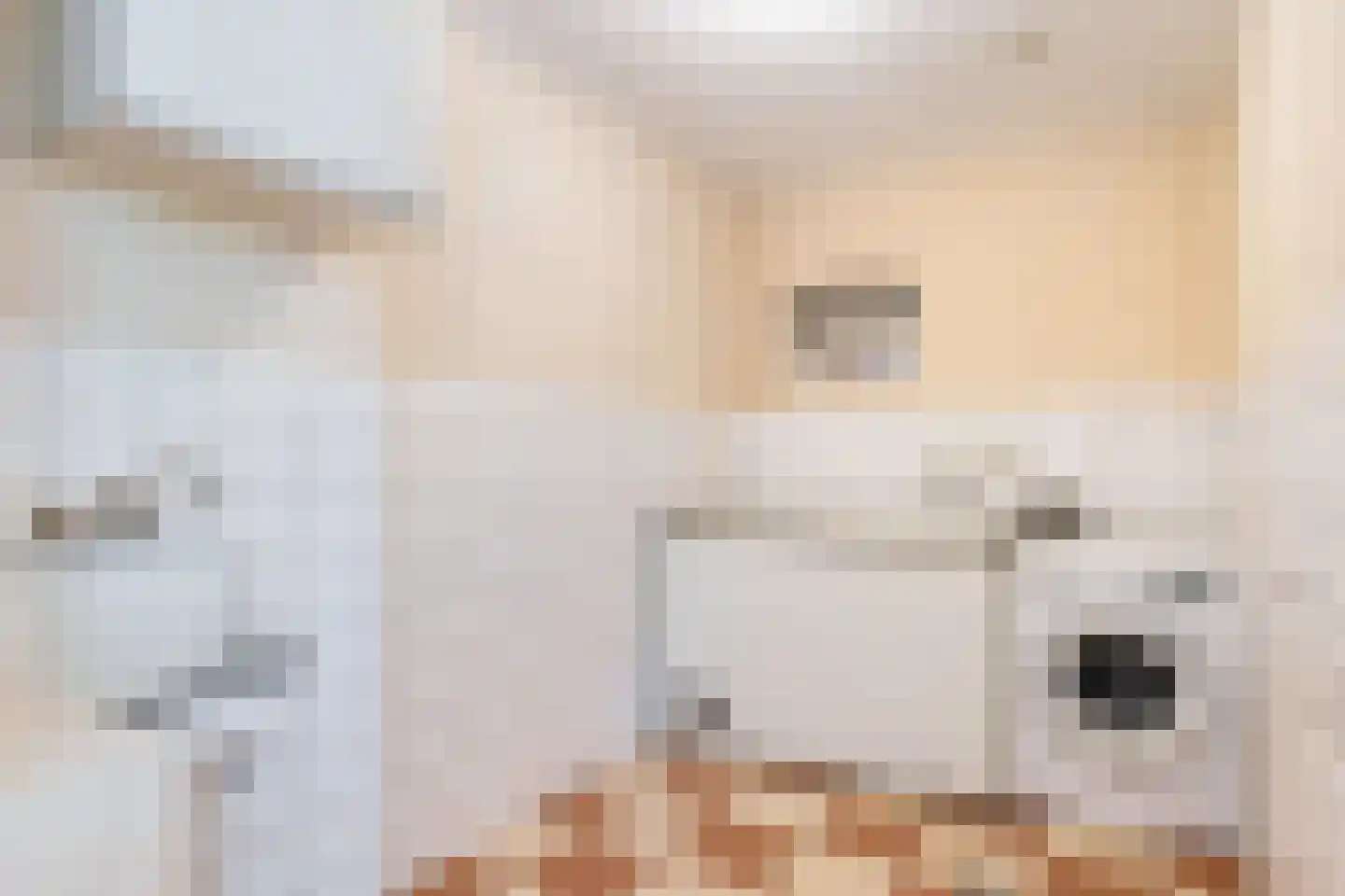 Binnenweg 26 Almen thumbnail 23