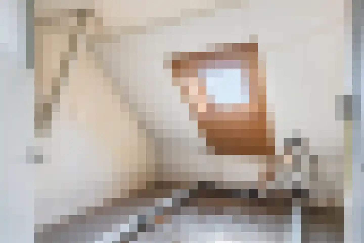 Binnenweg 26 Almen thumbnail 43