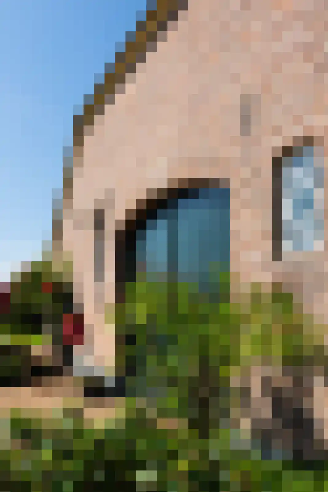 Binnenweg 26 Almen thumbnail 47