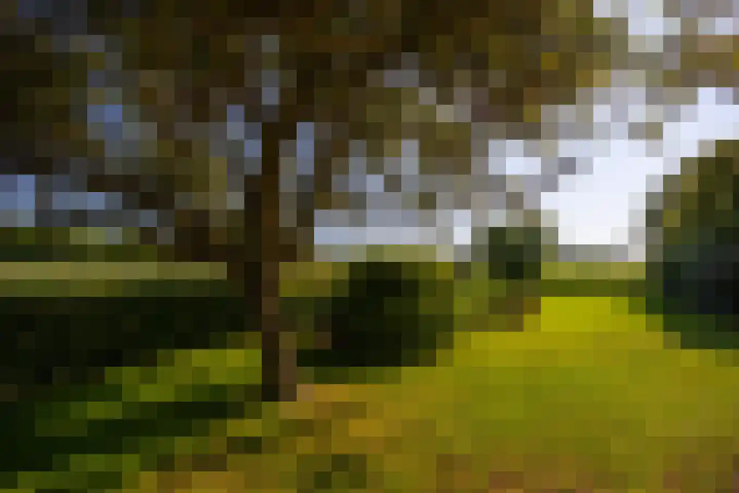 Binnenweg 26 Almen thumbnail 56