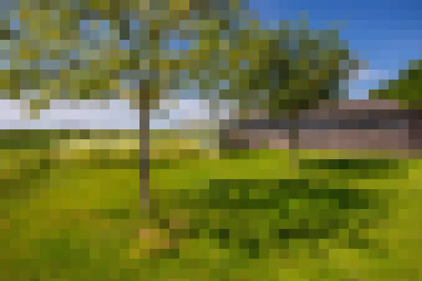 Binnenweg 26 Almen thumbnail 61