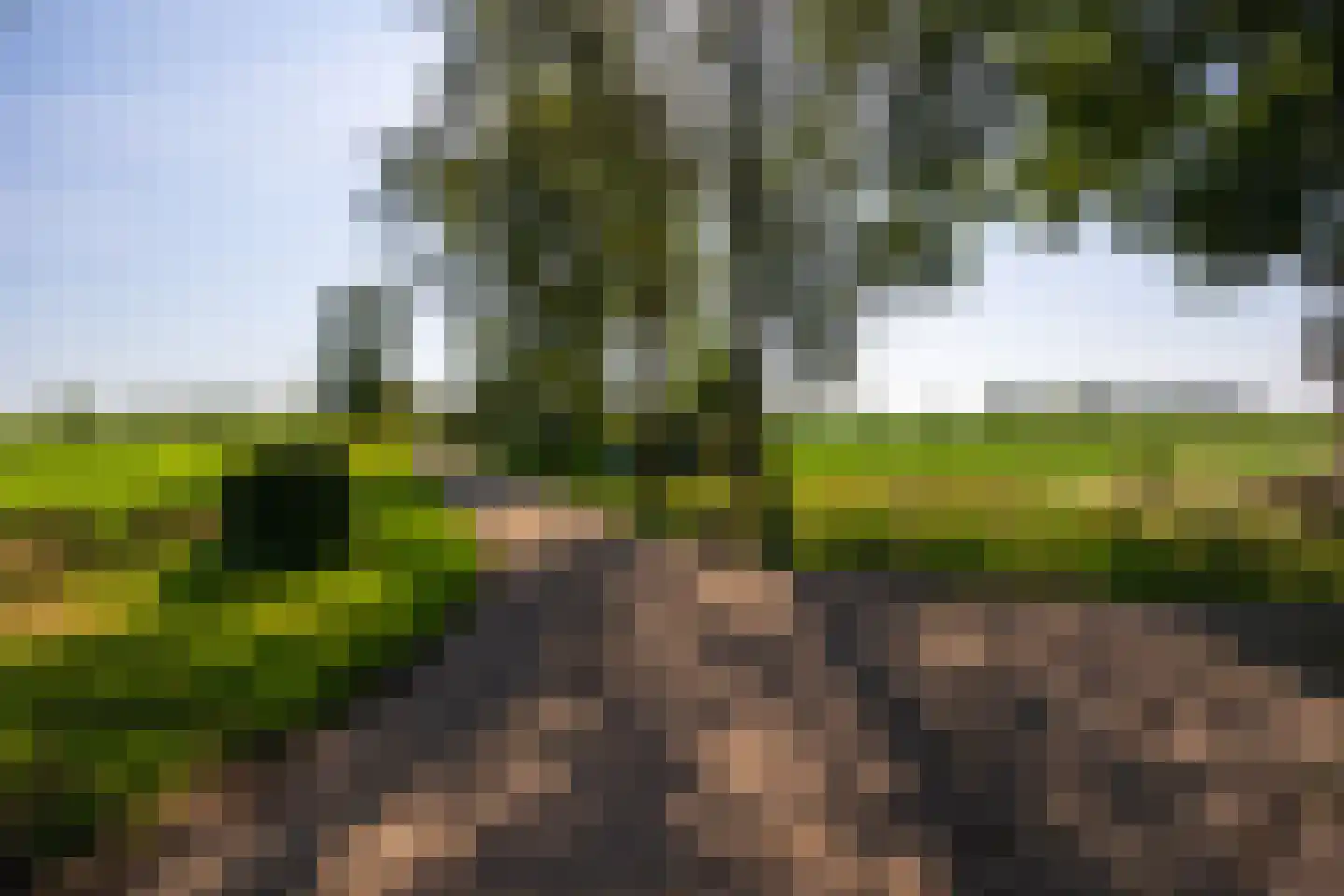 Binnenweg 26 Almen thumbnail 75