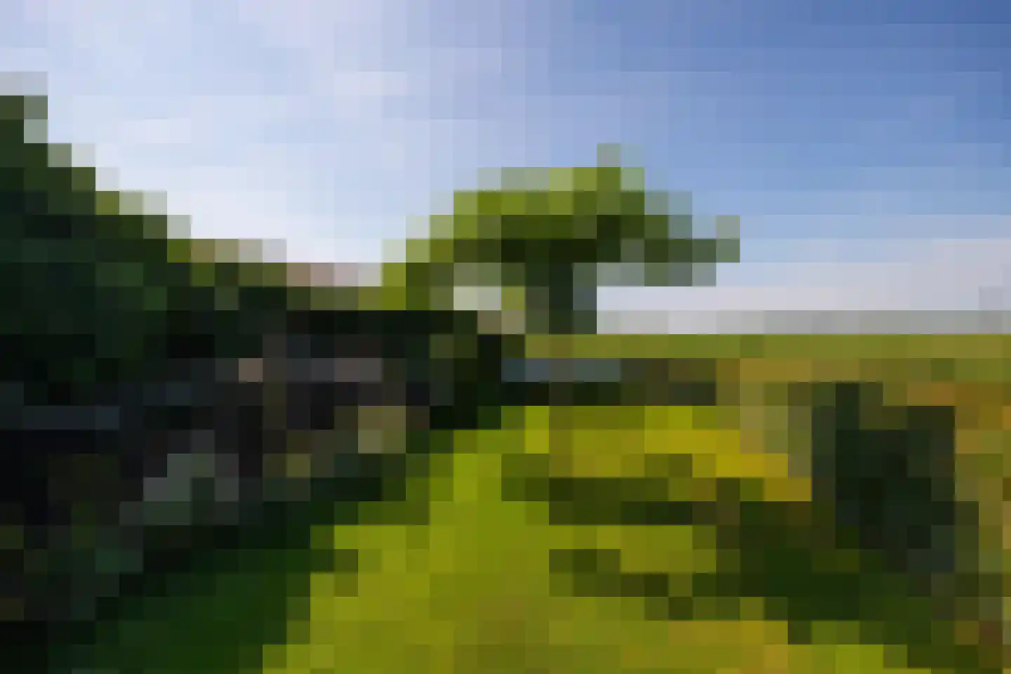 Binnenweg 26 Almen thumbnail 80