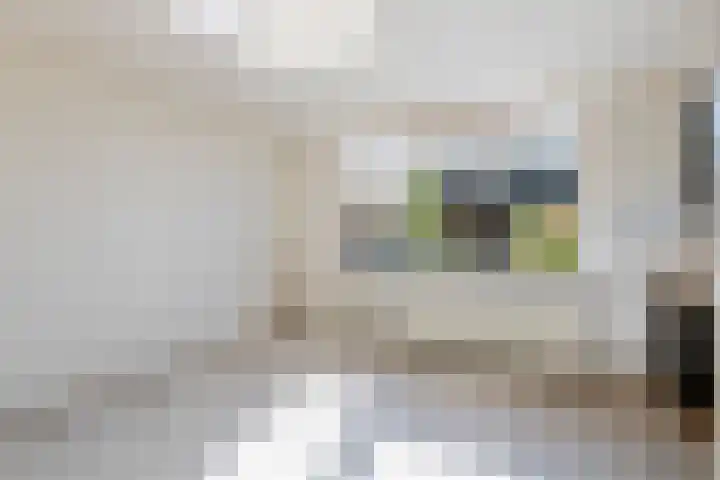 Binnenweg 26 Tiel thumbnail 15