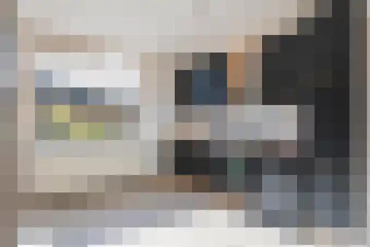Binnenweg 26 Tiel thumbnail 16