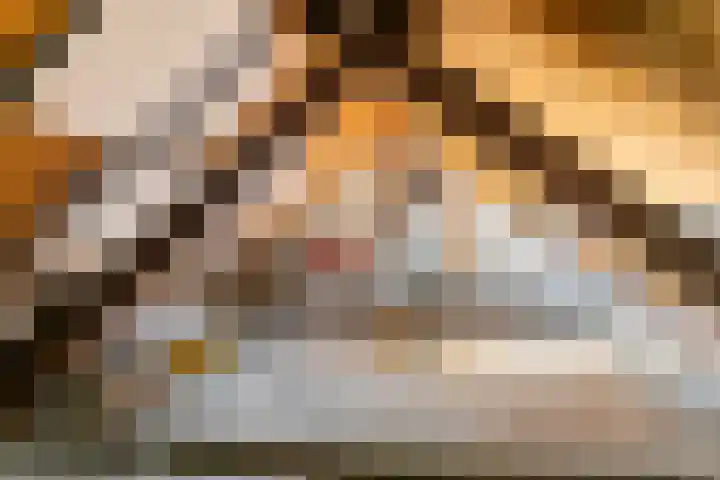 Binnenweg 26 Tiel thumbnail 27