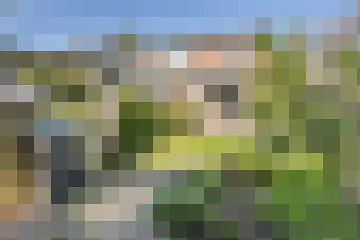 Binnenweg 26 Tiel thumbnail 28