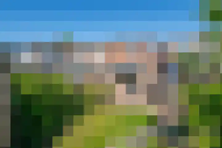 Binnenweg 26 Tiel thumbnail 29