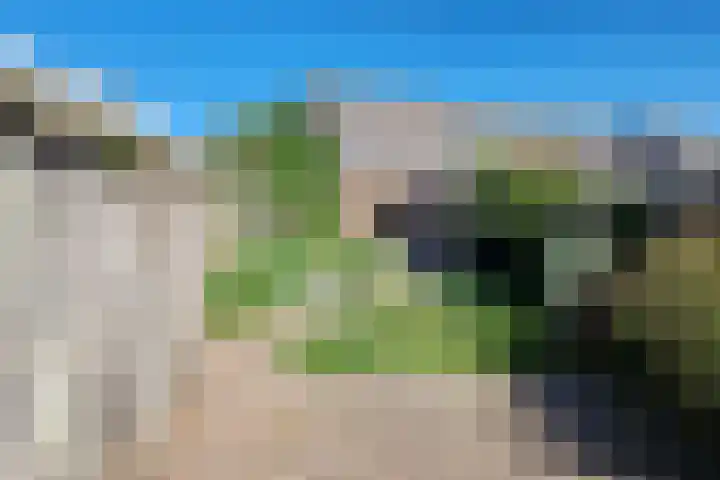 Binnenweg 26 Tiel thumbnail 33