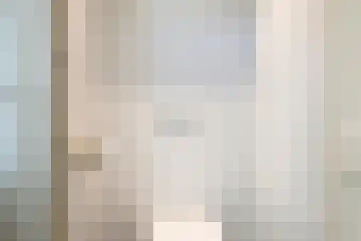 Binnenweg 26 Tiel thumbnail 7