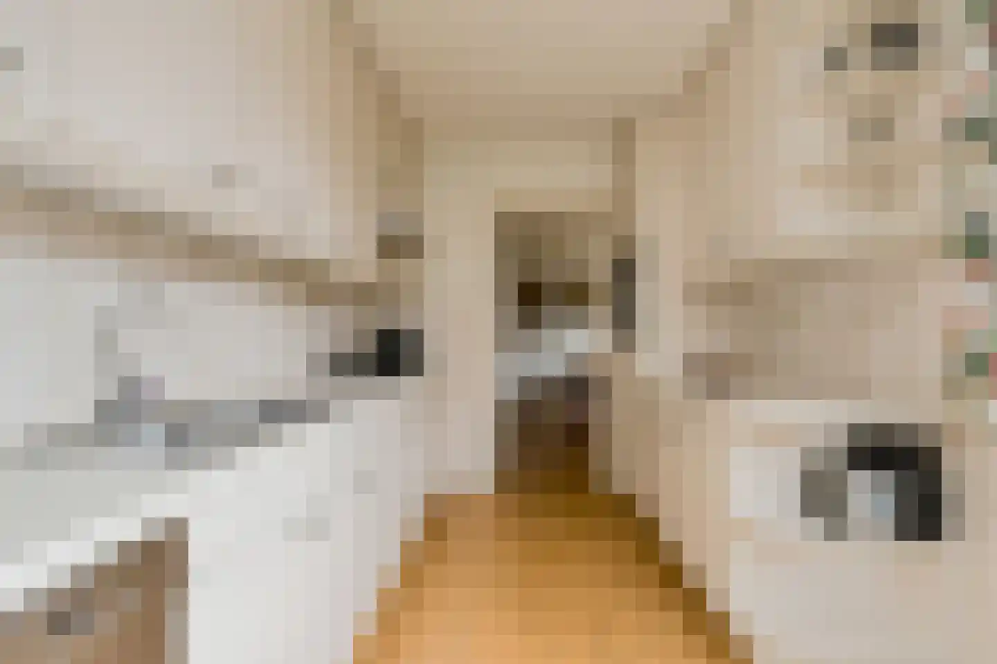 Binnenweg 27 Breda thumbnail 16