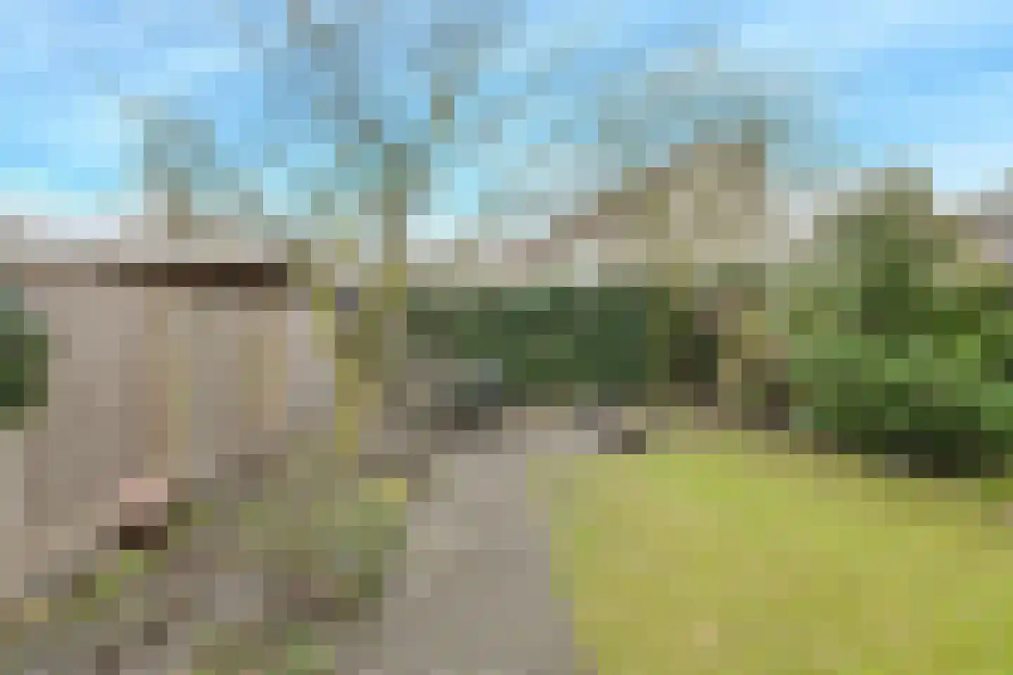 Binnenweg 27 Breda thumbnail 40