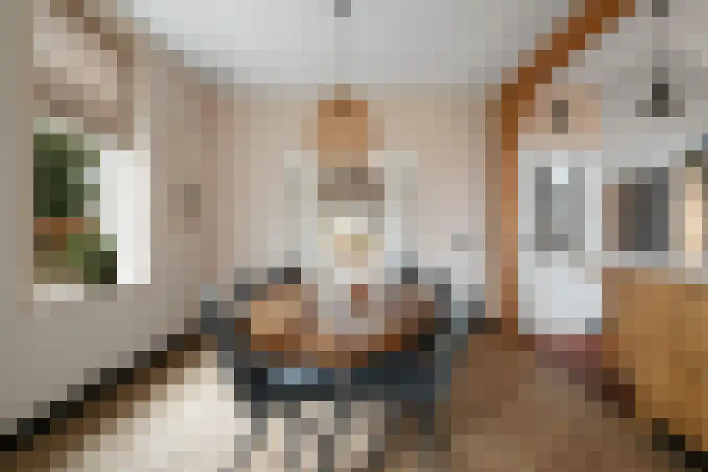 Binnenweg 27 Twello thumbnail 13