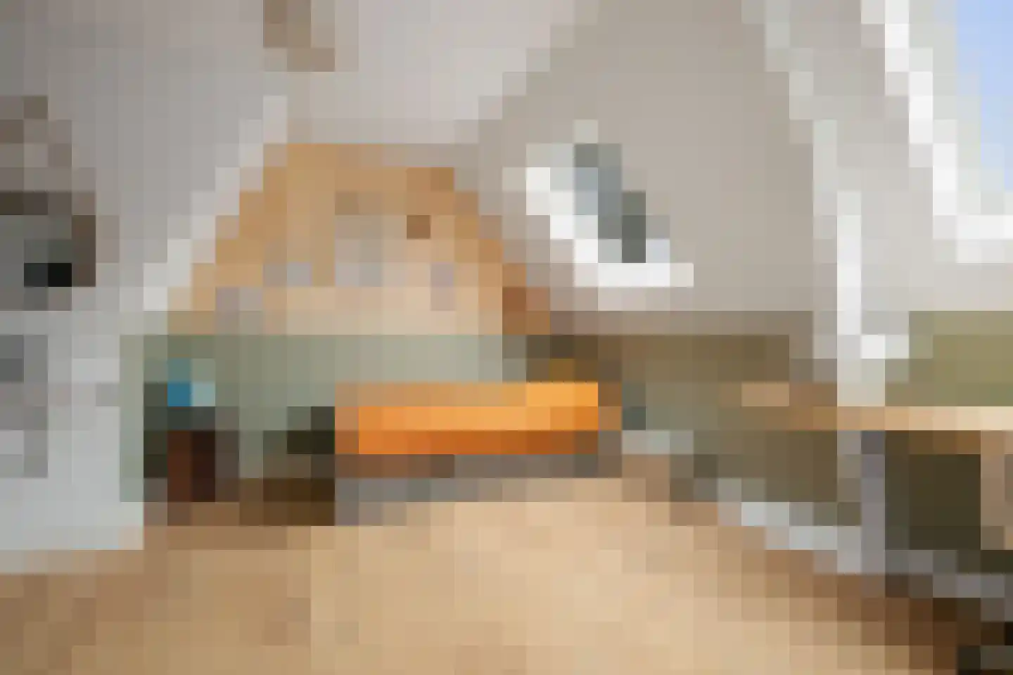 Binnenweg 27 Twello thumbnail 29