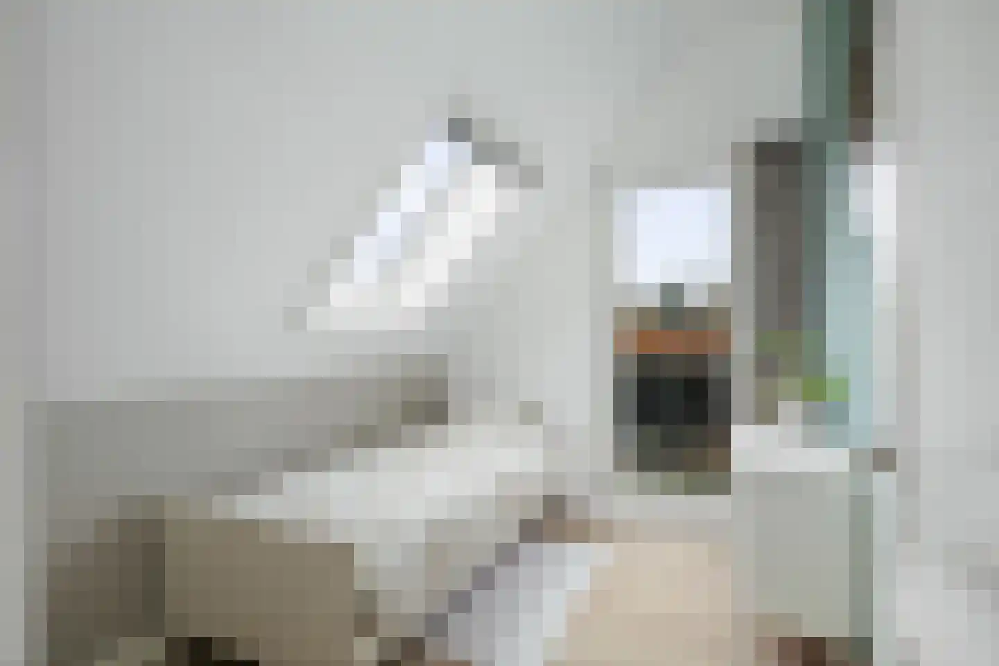 Binnenweg 27 Twello thumbnail 34