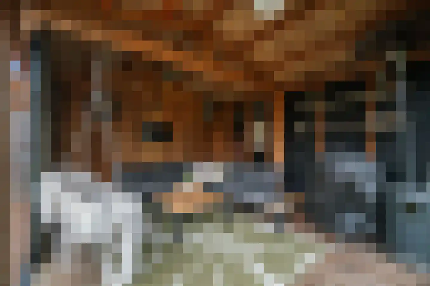 Binnenweg 27 Twello thumbnail 42