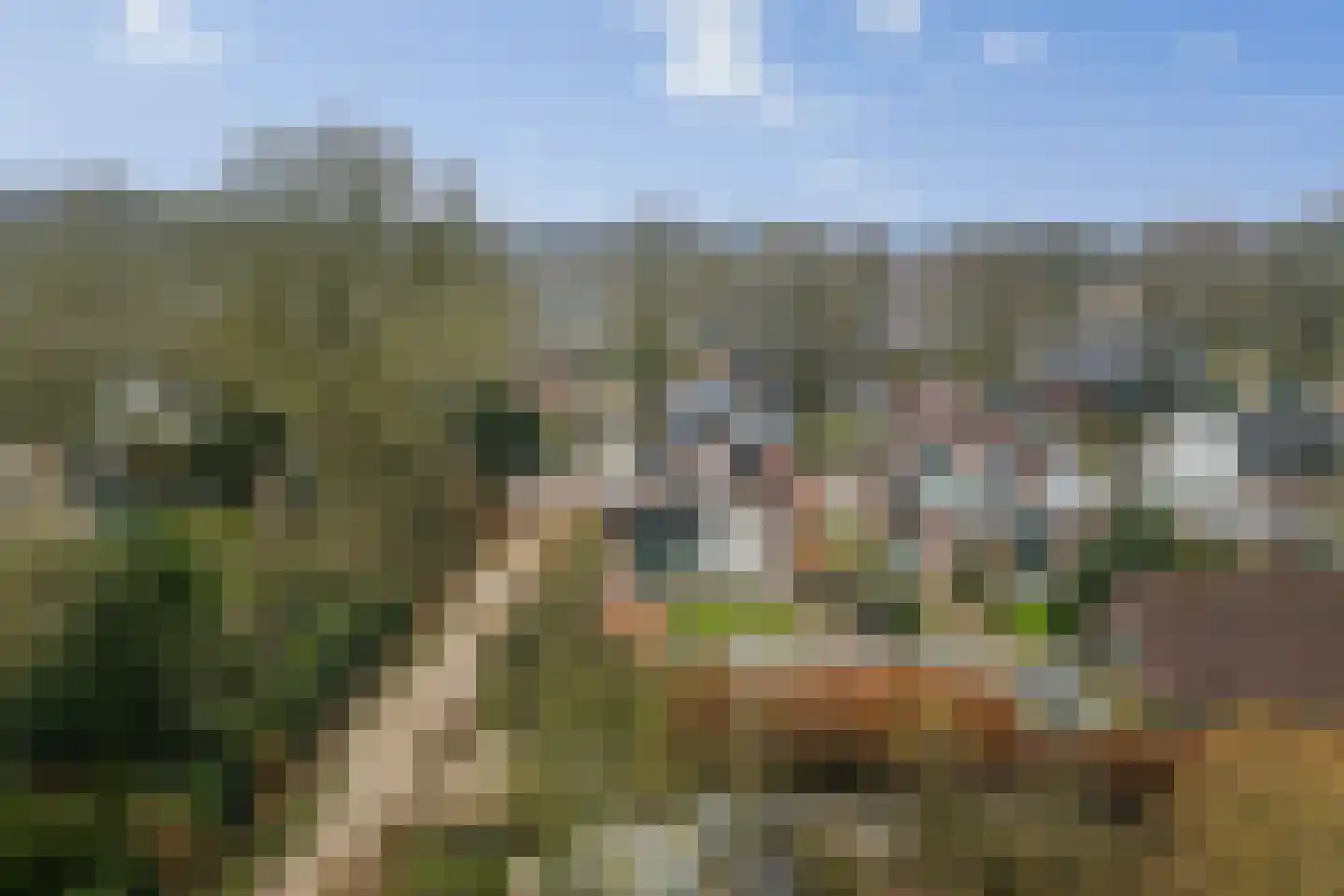 Binnenweg 27 Twello thumbnail 51