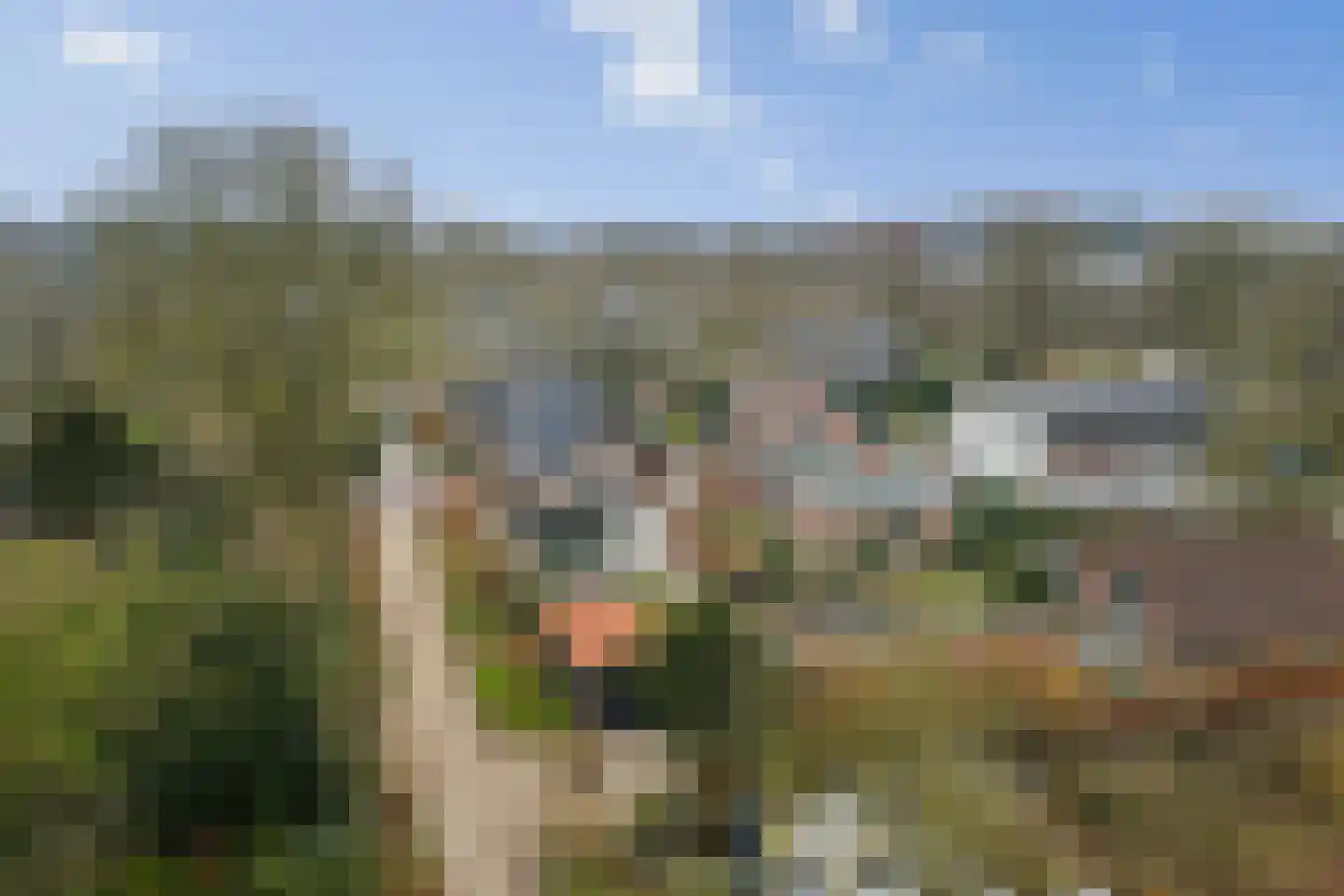 Binnenweg 27 Twello thumbnail 52