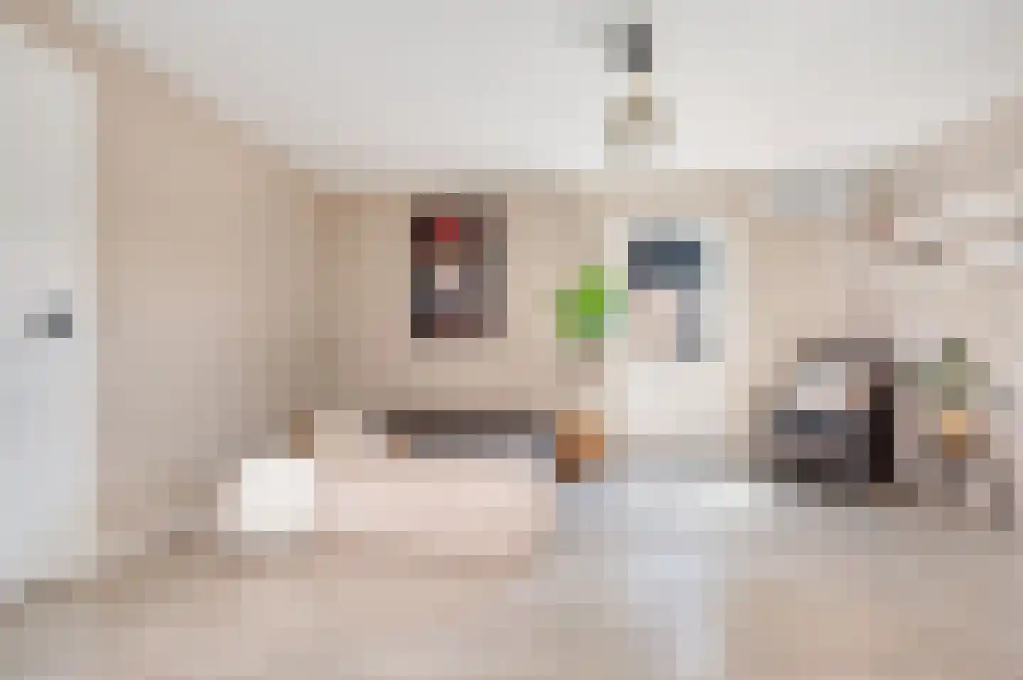 Binnenweg 28 Schijndel thumbnail 18