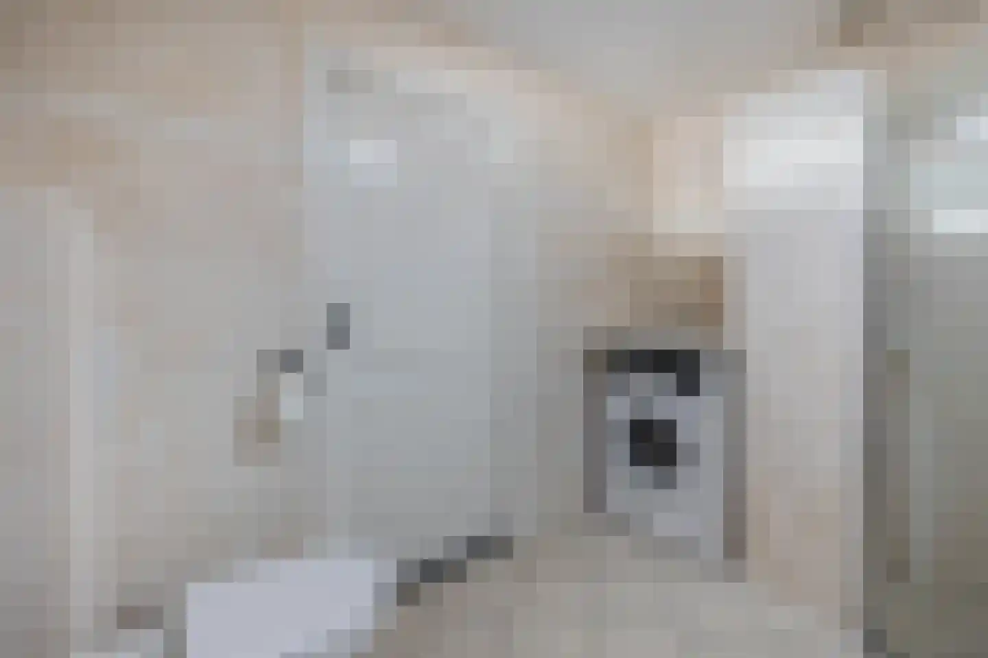 Binnenweg 28 Schijndel thumbnail 21